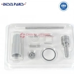 Common Rail Injector Repair Kits 095000-8933 картинка из объявления