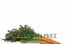 Морковь вармия F1 1,8-2,0 (25 000 семян) Rijk Zwaan картинка из объявления