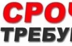 Помощник бухгалтера картинка из объявления