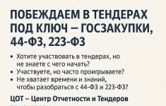 Побеждаем в тендерах под ключ — госзакупки, 44-ФЗ, 223-ФЗ картинка из объявления