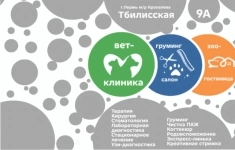 Ветеринарный врач картинка из объявления