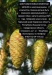 г Туринск картинка из объявления