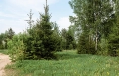 Продам участок 16 сот. в объявлении 9 фото Продам участок 16 сот. картинка из объявления