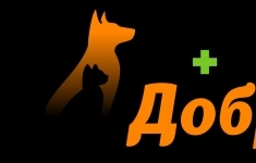 Администратор ветеринарной клиники картинка из объявления