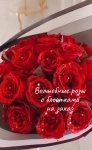 Волшебные розы с блёстками картинка из объявления