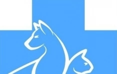 Ассистент ветеринарного врача картинка из объявления