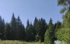 Продам участок 8 сот. картинка из объявления