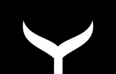 Водитель-экспедитор в объявлении 1 фото Водитель-экспедитор картинка из объявления