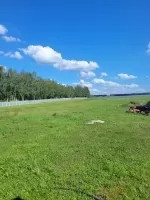 Рязанская область картинка из объявления