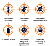 Уничтожение вредителей картинка из объявления