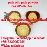 New Pmk Oil CAS 28578-16-7 Pmk Powder /New Bmk Oil CAS 459-03-0 картинка из объявления