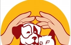 Администратор картинка из объявления