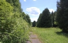 Продам участок 1069 сот. в объявлении 7 фото Продам участок 1069 сот. картинка из объявления