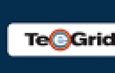 Steema Software TeeGrid for NET single license Арт. картинка из объявления