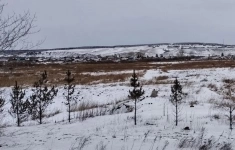 Продам участок 1980.2 сот. картинка из объявления