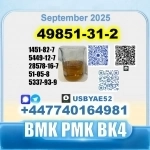 49851-31-2 2-Bromo-1-Phenyl-Pentan-1-One 2b4m PMK Source factory картинка из объявления