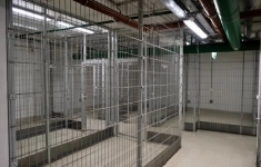 Продам коммерческую недвижимость 5 м2 картинка из объявления