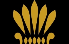 Региональный торговый представитель картинка из объявления