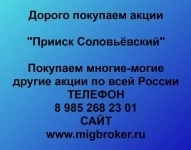 Продать акции «Прииск Соловьёвский» по выгодной цене! картинка из объявления