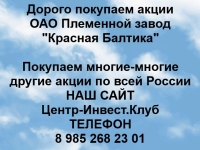 Покупаем акции ОАО Красная Балтика и любые другие акции по всей Р картинка из объявления