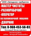 Мастер чистоты Разнорабочий Оператор на поломоечной  машине Дворник картинка из объявления