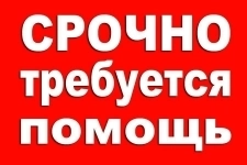 Помощь на сво рф детям в зоне военных действий картинка из объявления