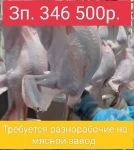 Требуются разнорабочие на мясной завод картинка из объявления