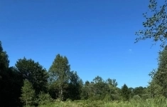 Продам участок 8 сот. картинка из объявления