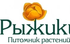 Подсобный рабочий картинка из объявления