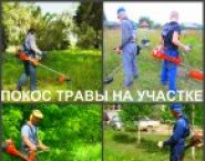 Покос травы Воронеж, косить траву в Воронеже картинка из объявления