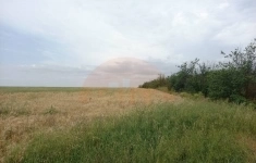 Продам участок 495 сот. в объявлении 4 фото Продам участок 495 сот. картинка из объявления