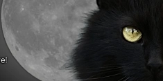 Свечи и магические обереги от Черной Кошки картинка из объявления