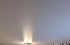 Сдам 1 комнатную квартиру 38 м2 картинка из объявления