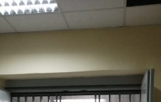 Сдам коммерческую недвижимость 1649 м2 в объявлении 5 фото Сдам коммерческую недвижимость 1649 м2 картинка из объявления