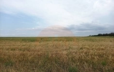 Продам участок 495 сот. в объявлении 4 фото Продам участок 495 сот. картинка из объявления