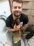 Ремонт стиральных машин на дому картинка из объявления