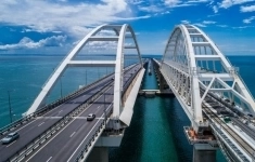 Кинолог картинка из объявления