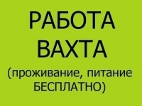 Требуются работники, для работы вахтовым методом картинка из объявления