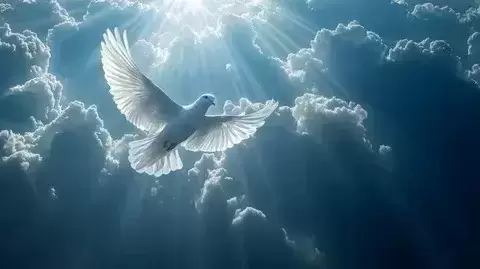 Высшая магия в Астрахани. Сильный приворот в Астрахани 👇 картинка из объявления