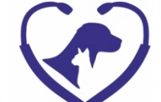 Ветеринарный врач картинка из объявления