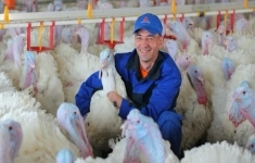 Ветеринарный врач на выращивание картинка из объявления