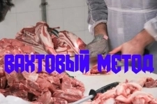 Разнорабочие Мясокомбинат Москва Работа с проживанием Вахта картинка из объявления