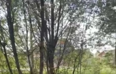 Продам участок 23 сот. в объявлении 3 фото Продам участок 23 сот. картинка из объявления