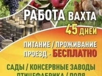 Требуются разнорабочие картинка из объявления