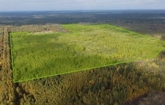 Продам участок 7550 сот. в объявлении 3 фото Продам участок 7550 сот. картинка из объявления