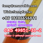 WhatsApp +8618186656811 CAS 49851-31-2 bromo-1-phhenyl-pentan-1-o картинка из объявления