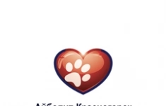 Ветеринарный Врач визуальной диагностики картинка из объявления