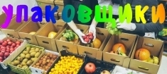 Упаковщики Фрукты Москва Вахта картинка из объявления