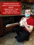 Ремонт посудомоечной машины картинка из объявления