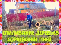 Спиливание деревьев Воронеж картинка из объявления